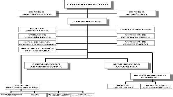 Organigrama 1