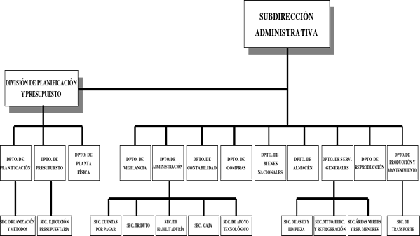 Organigrama 3